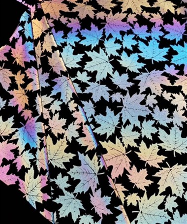 Sự khác biệt giữa phát quang, huỳnh quang và phản xạ